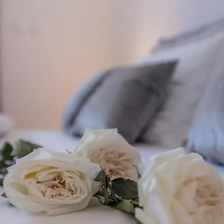 Fortuna Apartment Split